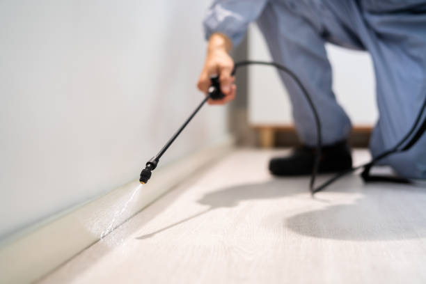 Licensed Termite Control service in Lakemoor, IL - Nex Pest Control