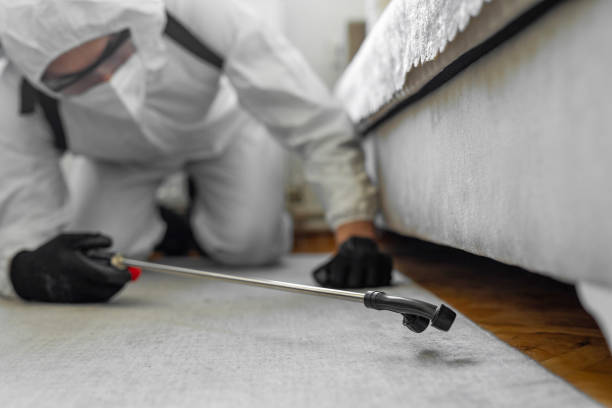 Professional Termite Control technician working in Lakemoor, IL