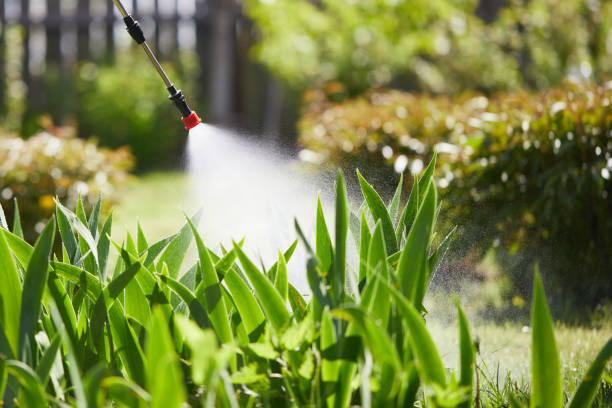 24/7 Emergency Termite Control experts in Lakemoor, IL